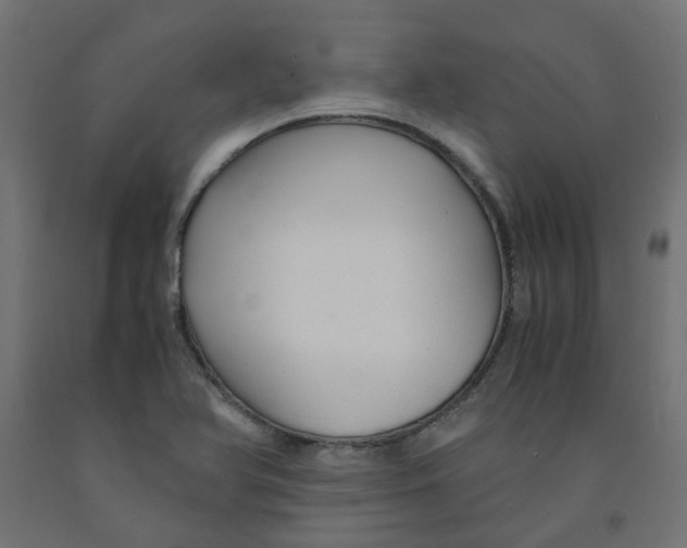 X0000091861366200710031653