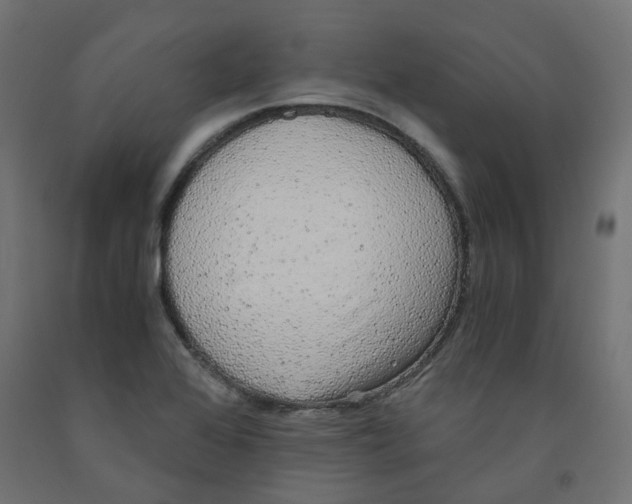 X0000091861368200710031653