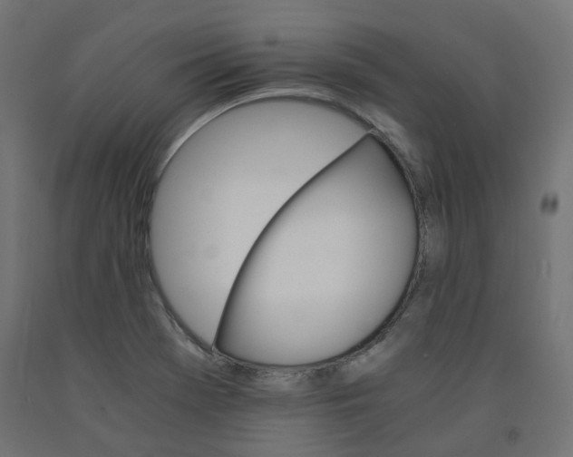 X0000091861369200710031653