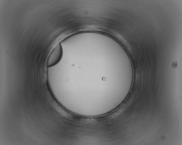 X0000091861370200710031653