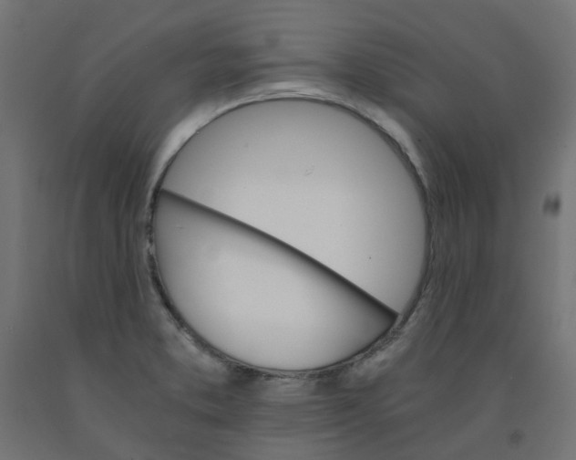 X0000091861373200710031653