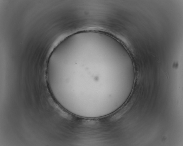 X0000091861374200710031653