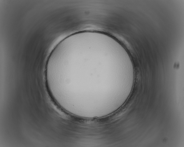 X0000091861375200710031653