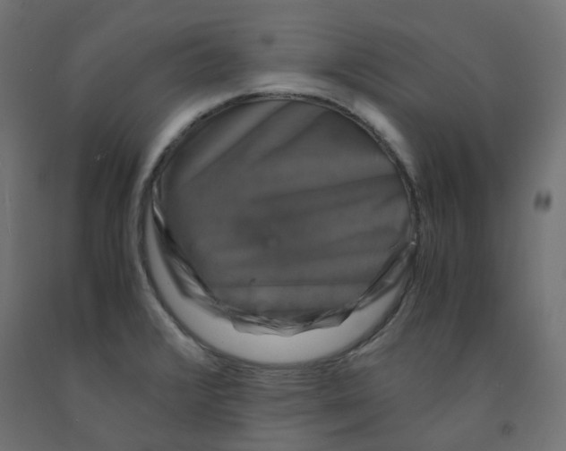 X0000091861376200710031653