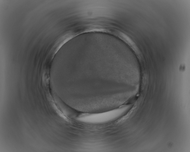 X0000091861377200710031653