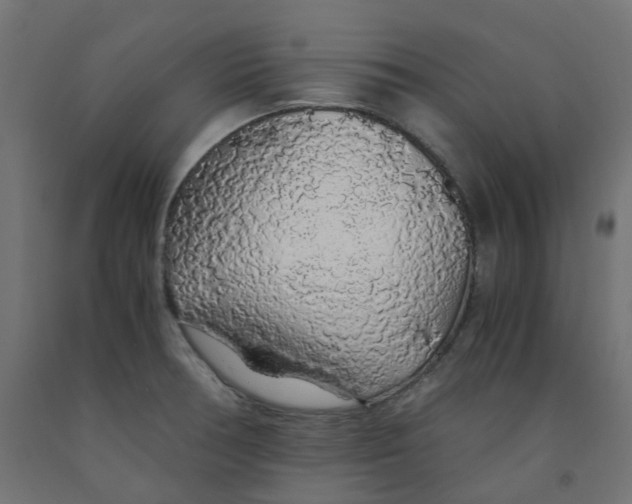 X0000091861378200710031653