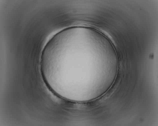 X0000091861379200710031653