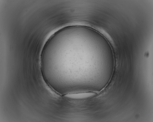 X0000091861380200710031653