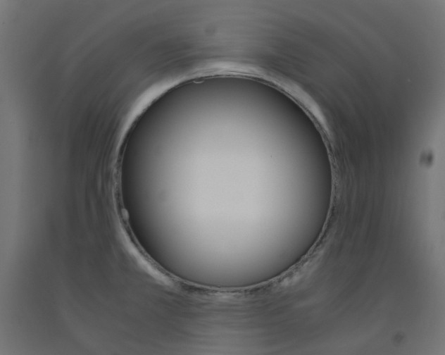 X0000091861381200710031653