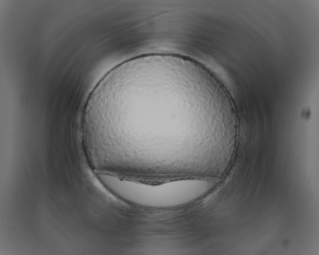 X0000091861382200710031653