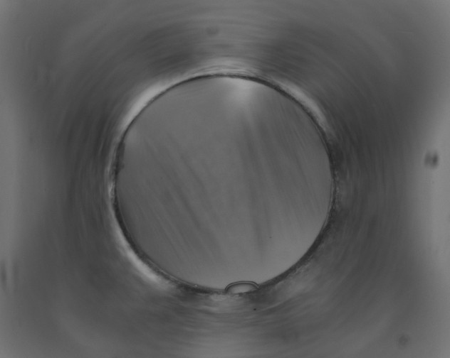 X0000091861383200710031653