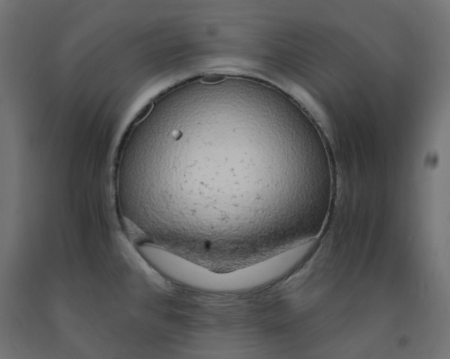 X0000091861384200710031653