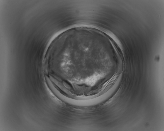 X0000091861388200710031652