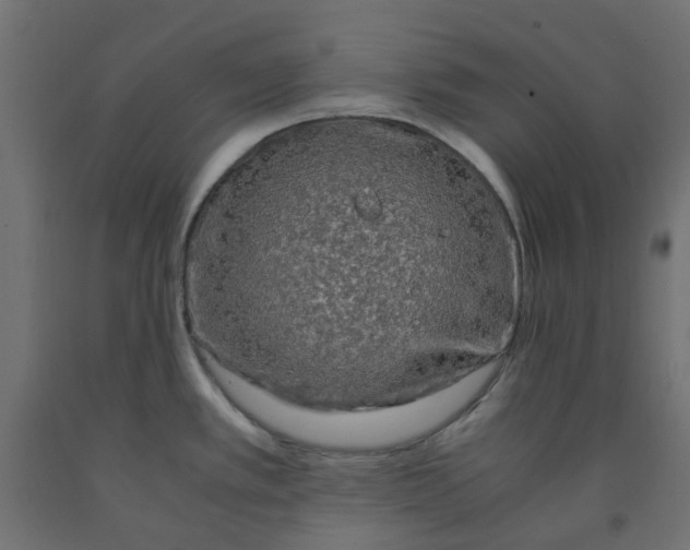 X0000091861389200710031652