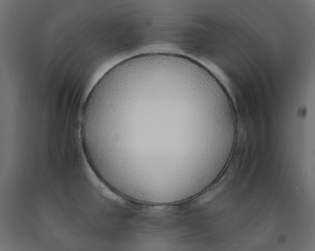 X0000091861390200710031652