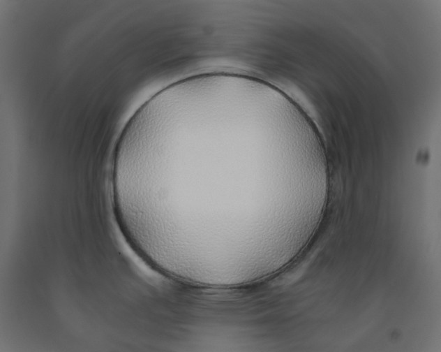 X0000091861391200710031652