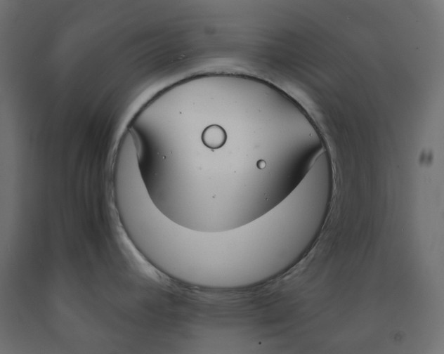 X0000091861392200710031652