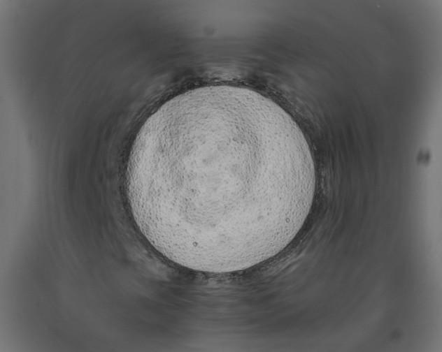 X0000091861393200710031652