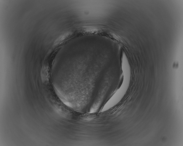 X0000091861394200710031652