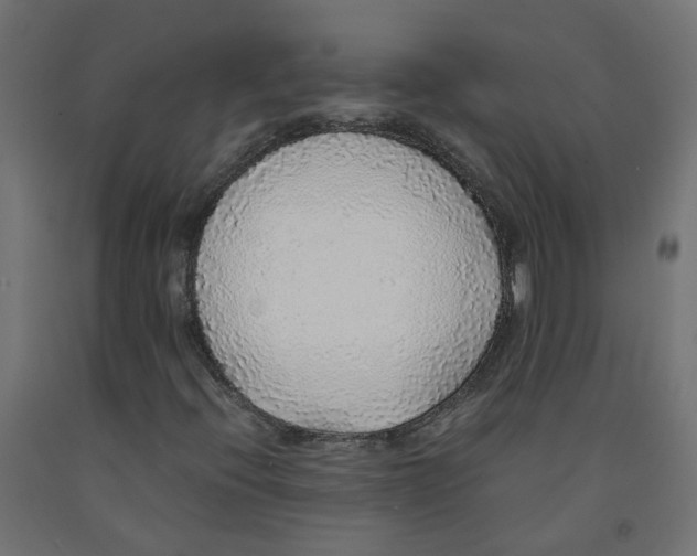 X0000091861396200710031652