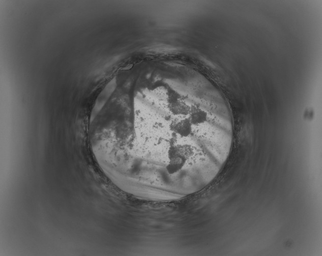 X0000091861397200710031652