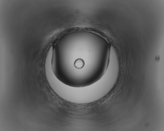 X0000091861398200710031652