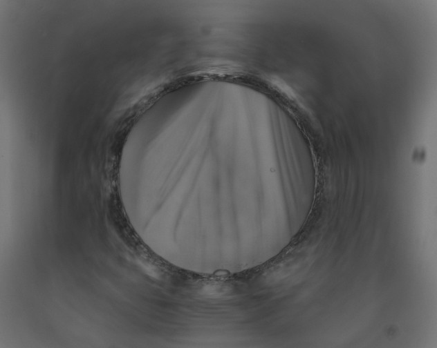 X0000091861399200710031652