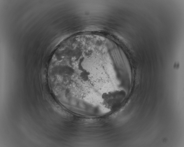 X0000091861401200710031652