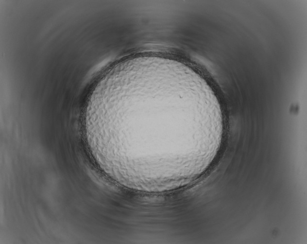 X0000091861403200710031652