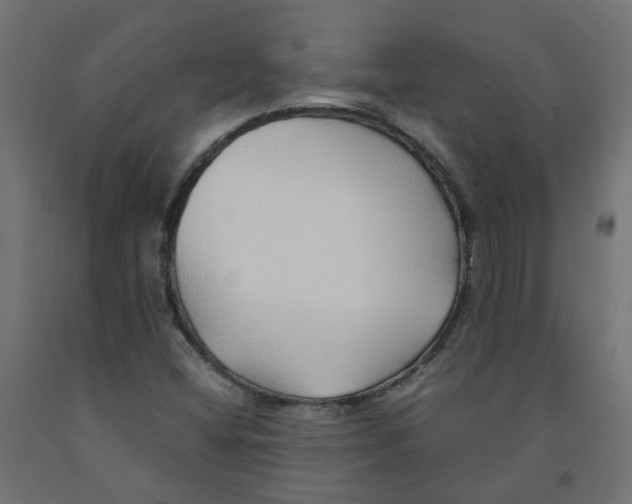 X0000091861404200710031652