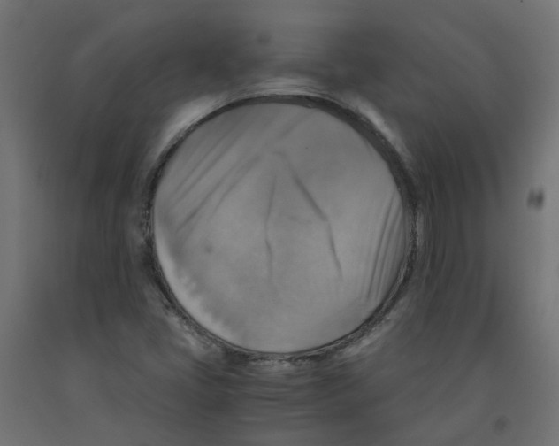 X0000091861405200710031652