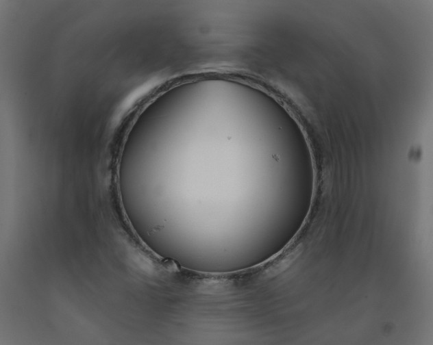 X0000091861406200710031652