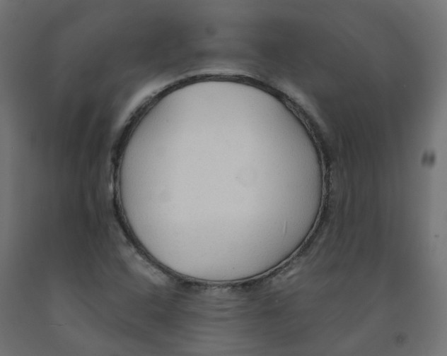 X0000091861408200710031652