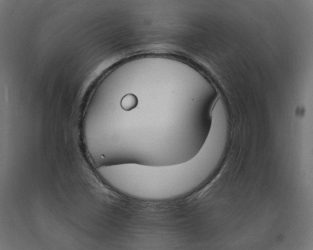 X0000091861410200710031652