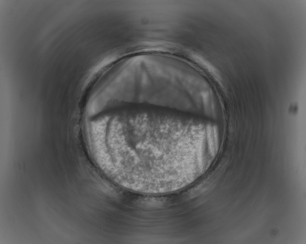 X0000091861411200710031652