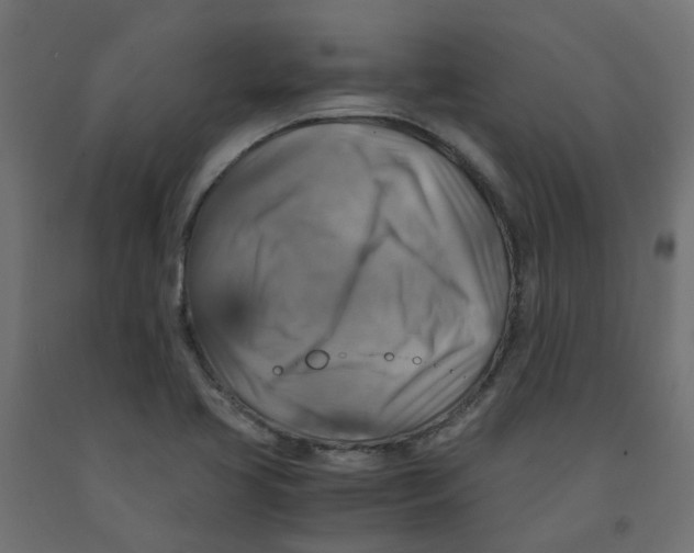 X0000091861413200710031652