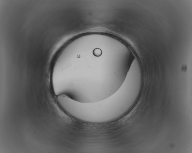 X0000091861414200710031652