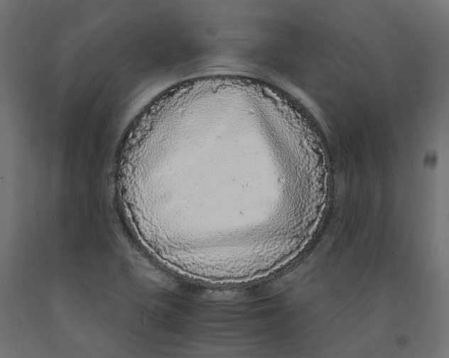 X0000091861415200710031652