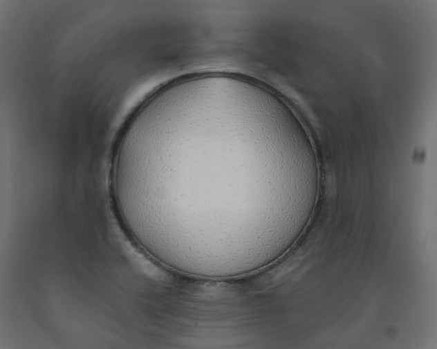 X0000091861416200710031652