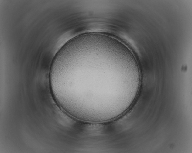 X0000091861417200710031652