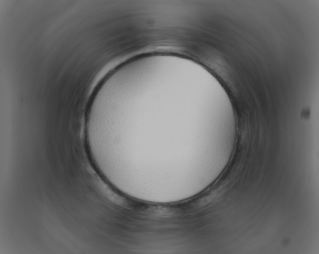 X0000091861420200710031652