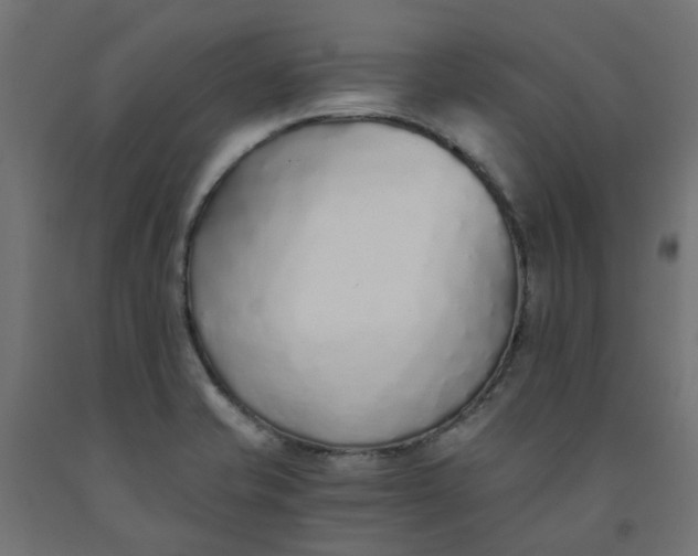 X0000091861421200710031652