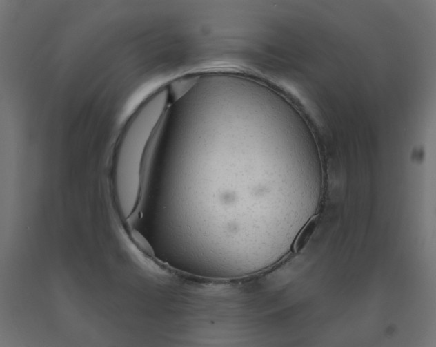 X0000091861422200710031652