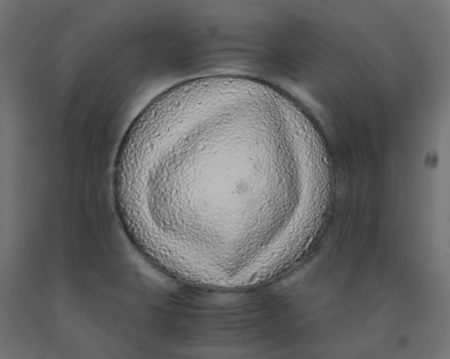 X0000091861423200710031652