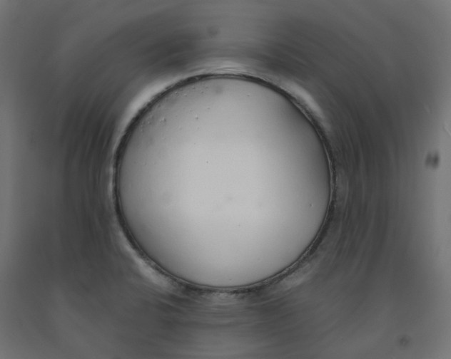 X0000091861424200710031652