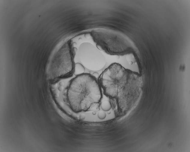 X0000091861425200710031652