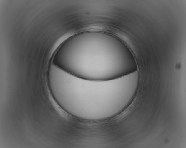 X0000091861426200710031652