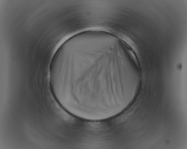 X0000091861428200710031652