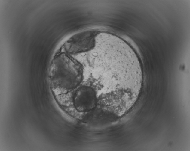 X0000091861429200710031652