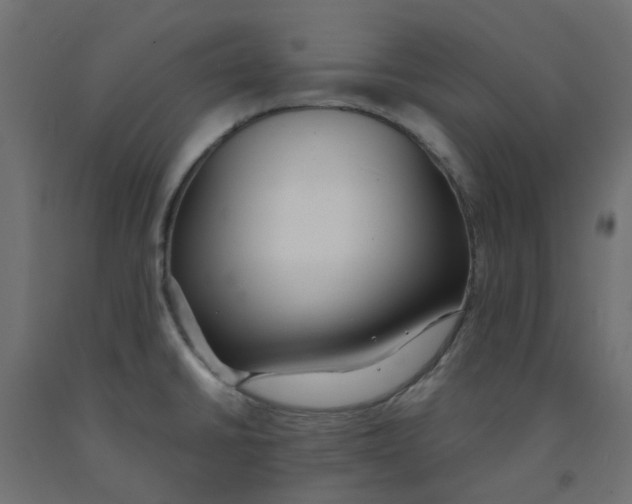 X0000091861430200710031652